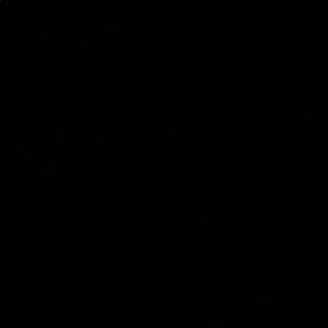 Meet your Posher, Naghina